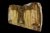 Tall, Colorful Petrified Wood Bookends - Washington #162904-2